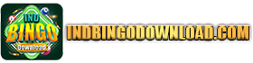 Ind Bingo Download logo